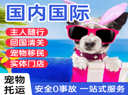 阿拉尔塔里木机场货运国际宠物托运 【国